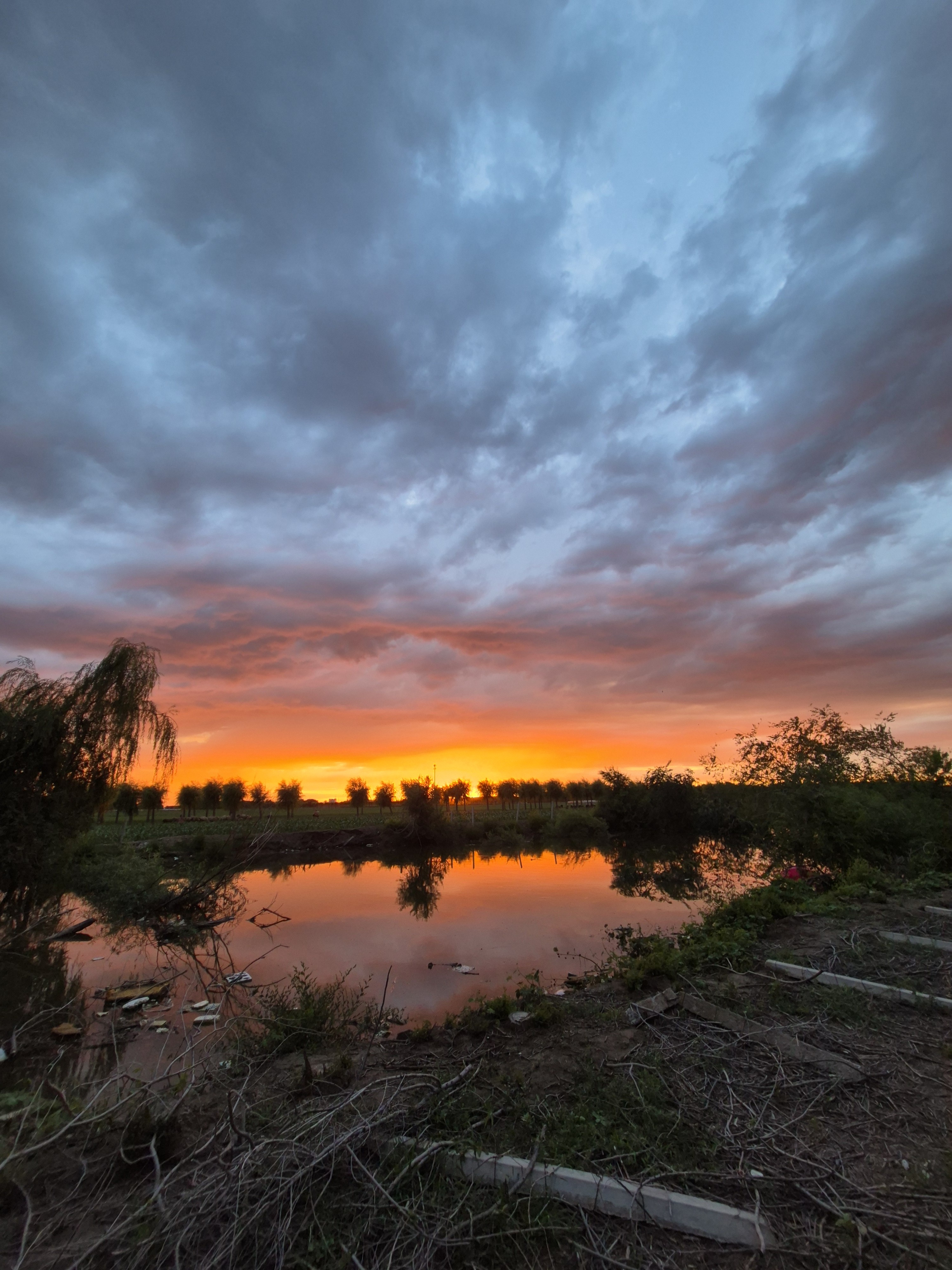 sunset
