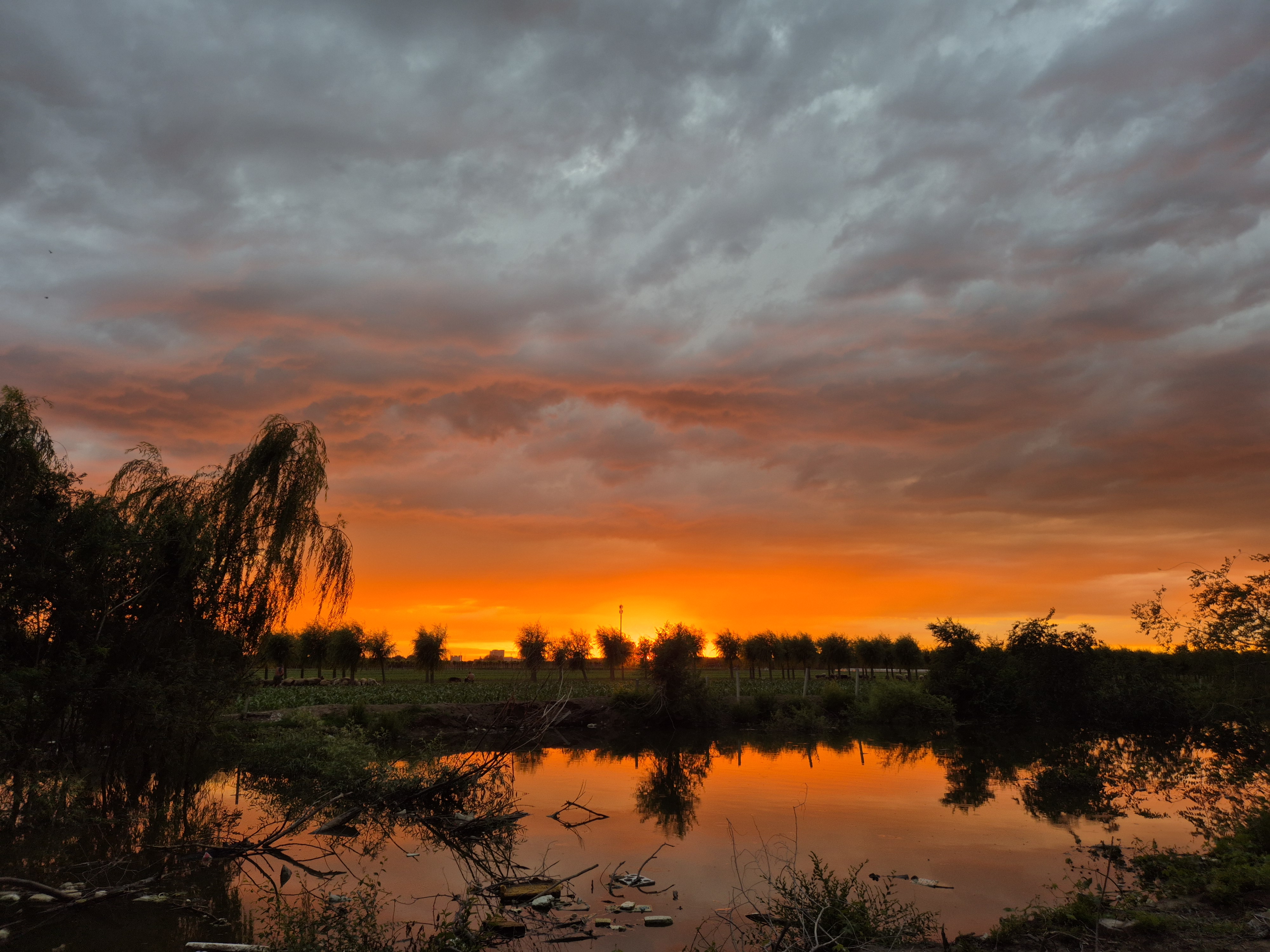 sunset