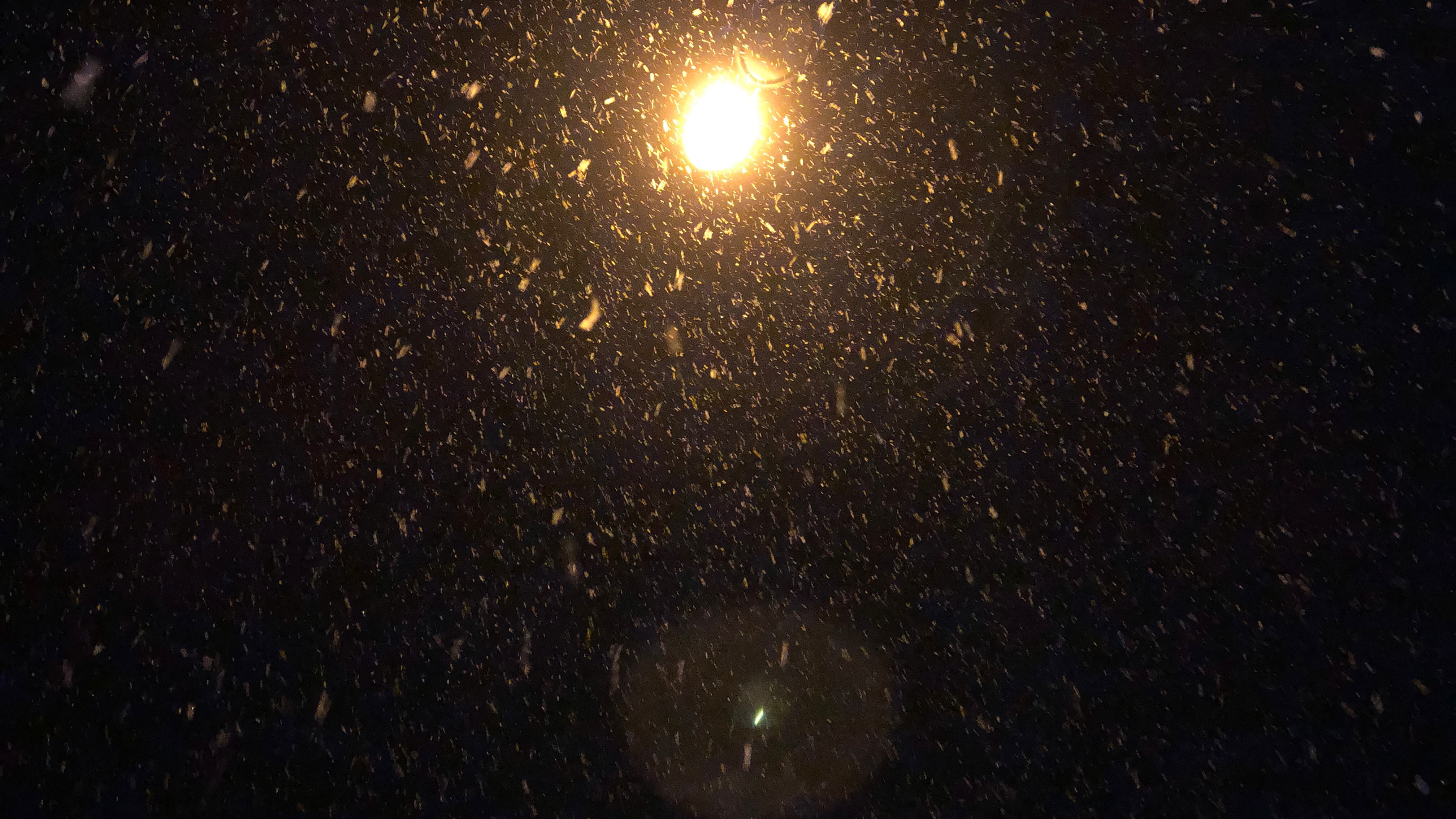 有一年常州下了大雪，这是我在甜品店兼职期间某一天晚上下班时候在一盏路灯下拍的